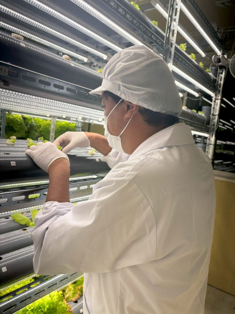 はなさくファーム堺東