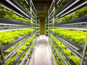 はなさくファーム